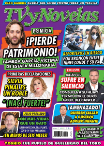 TV Y NOVELAS MÉXICO