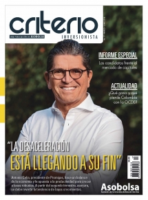 CRITERIO INVERSIONISTA