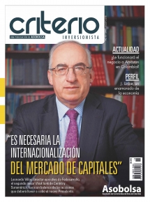 CRITERIO INVERSIONISTA