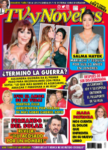 TV Y NOVELAS MÉXICO