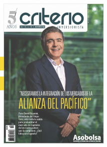 CRITERIO INVERSIONISTA