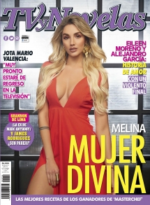 TV Y NOVELAS MÉXICO
