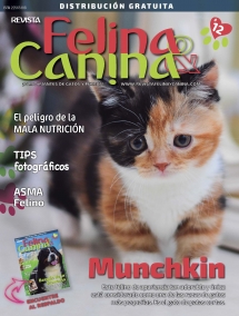 VIDA FELINA & CANINA (FELINA)