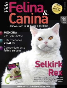VIDA FELINA & CANINA (FELINA)