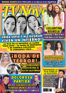 TV Y NOVELAS MÉXICO