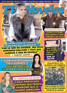 TV Y NOVELAS MÉXICO