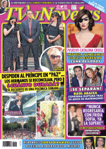 TV Y NOVELAS MÉXICO