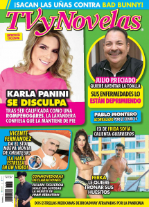 TV Y NOVELAS MÉXICO