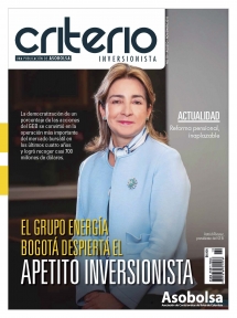 CRITERIO INVERSIONISTA