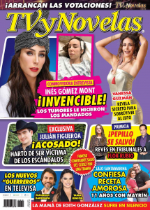 TV Y NOVELAS MÉXICO