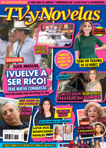 TV Y NOVELAS MÉXICO