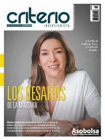CRITERIO INVERSIONISTA
