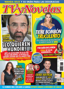 TV Y NOVELAS MÉXICO