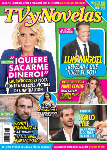 TV Y NOVELAS MÉXICO