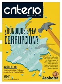 CRITERIO INVERSIONISTA